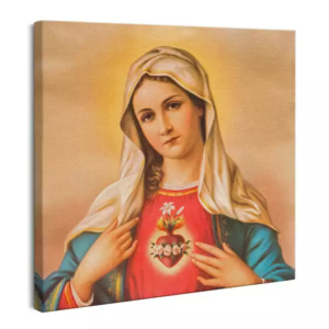Serce Maryi Dziewicy
